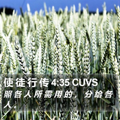 使 徒 行 传 4:35 CUVS Bible Verse Image