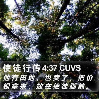 使 徒 行 传 4:37 CUVS Bible Verse Image