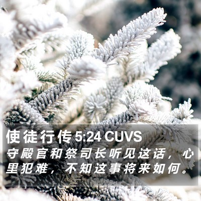 使 徒 行 传 5:24 CUVS Bible Verse Image