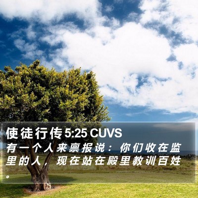 使 徒 行 传 5:25 CUVS Bible Verse Image