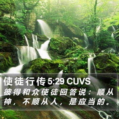 使 徒 行 传 5:29 CUVS Bible Verse Image
