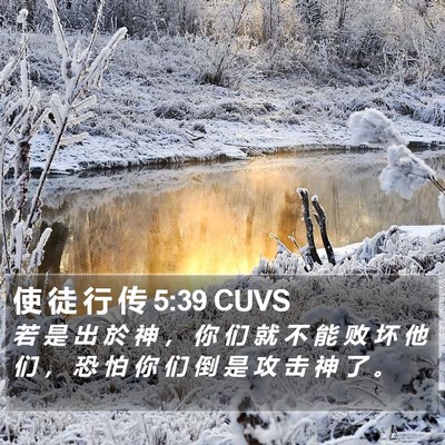使 徒 行 传 5:39 CUVS Bible Verse Image