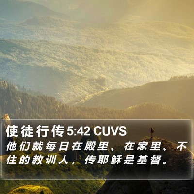 使 徒 行 传 5:42 CUVS Bible Verse Image