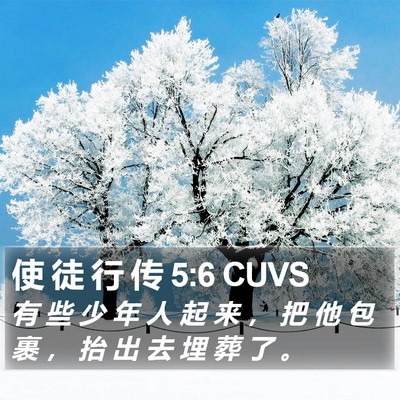 使 徒 行 传 5:6 CUVS Bible Verse Image