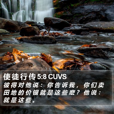 使 徒 行 传 5:8 CUVS Bible Verse Image