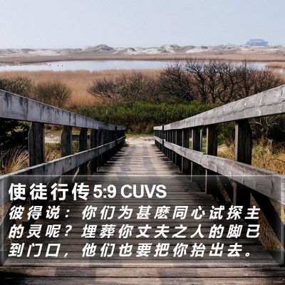 使 徒 行 传 5:9 CUVS Bible Verse Image