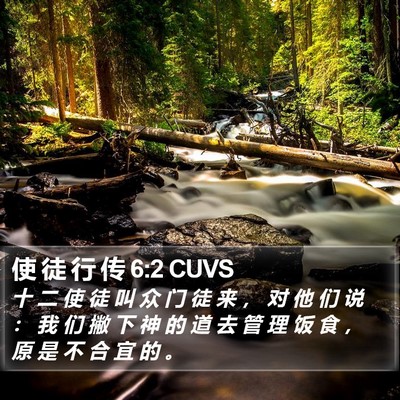 使 徒 行 传 6:2 CUVS Bible Verse Image