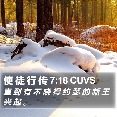 使 徒 行 传 7:18 CUVS Bible Verse Image