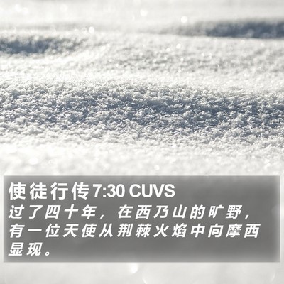 使 徒 行 传 7:30 CUVS Bible Verse Image