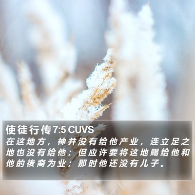 使 徒 行 传 7:5 CUVS Bible Verse Image