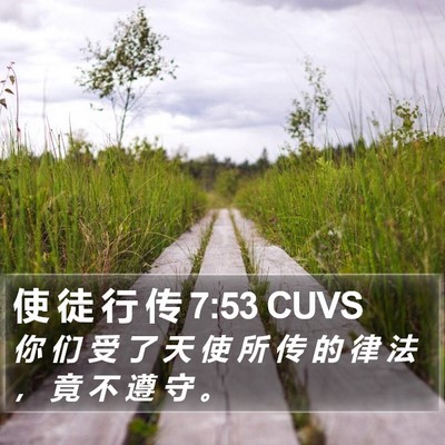 使 徒 行 传 7:53 CUVS Bible Verse Image
