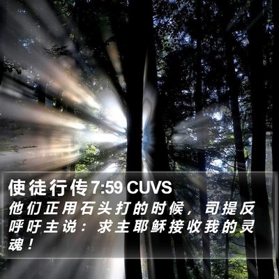 使 徒 行 传 7:59 CUVS Bible Verse Image