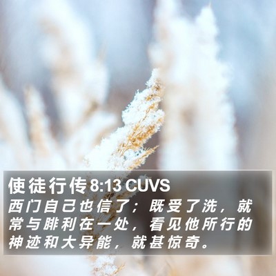 使 徒 行 传 8:13 CUVS Bible Verse Image
