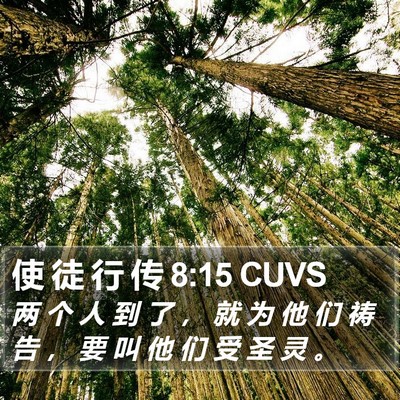 使 徒 行 传 8:15 CUVS Bible Verse Image