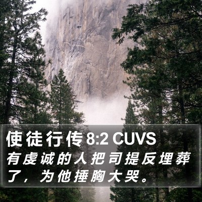 使 徒 行 传 8:2 CUVS Bible Verse Image