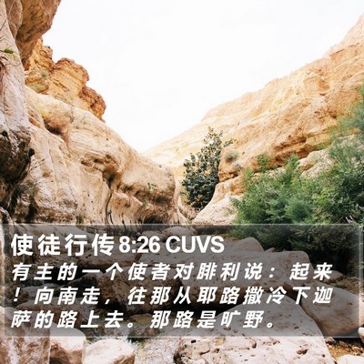 使 徒 行 传 8:26 CUVS Bible Verse Image