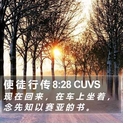 使 徒 行 传 8:28 CUVS Bible Verse Image