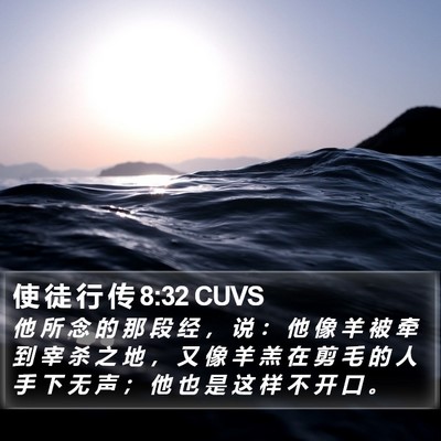 使 徒 行 传 8:32 CUVS Bible Verse Image