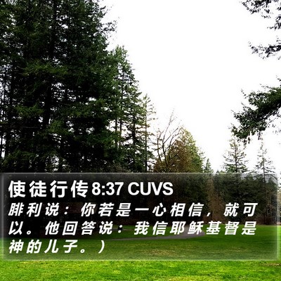 使 徒 行 传 8:37 CUVS Bible Verse Image