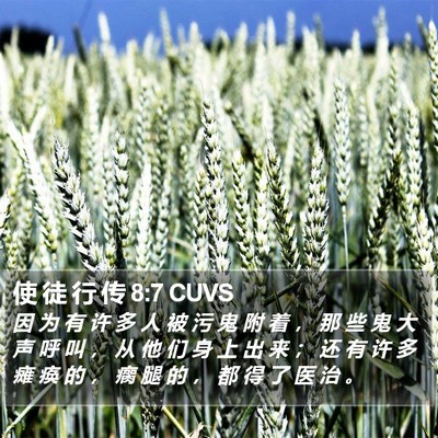 使 徒 行 传 8:7 CUVS Bible Verse Image