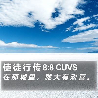 使 徒 行 传 8:8 CUVS Bible Verse Image