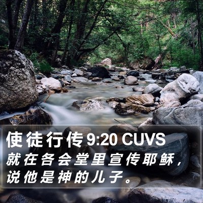 使 徒 行 传 9:20 CUVS Bible Verse Image