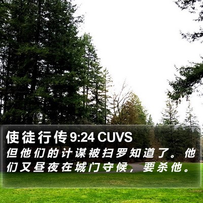 使 徒 行 传 9:24 CUVS Bible Verse Image