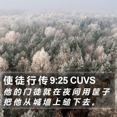 使 徒 行 传 9:25 CUVS Bible Verse Image