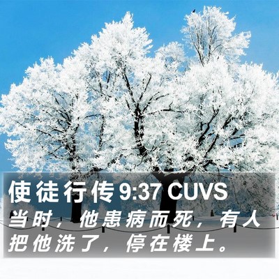使 徒 行 传 9:37 CUVS Bible Verse Image