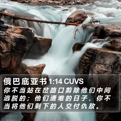 俄 巴 底 亚 书 1:14 CUVS Bible Verse Image