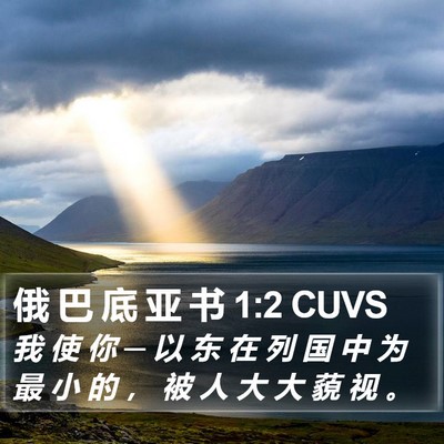 俄 巴 底 亚 书 1:2 CUVS Bible Verse Image