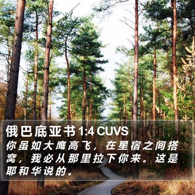 俄 巴 底 亚 书 1:4 CUVS Bible Verse Image