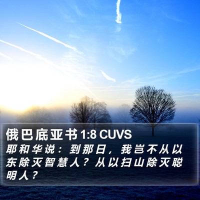 俄 巴 底 亚 书 1:8 CUVS Bible Verse Image