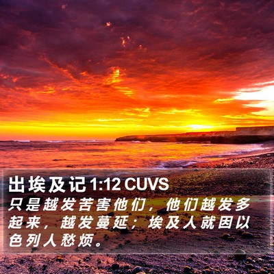 出 埃 及 记 1:12 CUVS Bible Verse Image