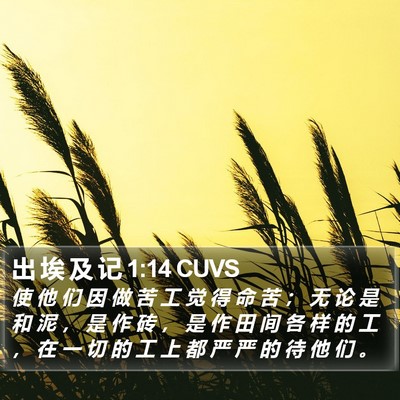 出 埃 及 记 1:14 CUVS Bible Verse Image