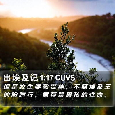 出 埃 及 记 1:17 CUVS Bible Verse Image