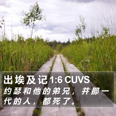 出 埃 及 记 1:6 CUVS Bible Verse Image
