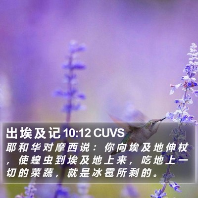 出 埃 及 记 10:12 CUVS Bible Verse Image
