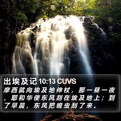 出 埃 及 记 10:13 CUVS Bible Verse Image