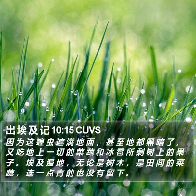 出 埃 及 记 10:15 CUVS Bible Verse Image