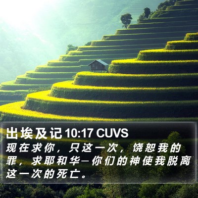 出 埃 及 记 10:17 CUVS Bible Verse Image