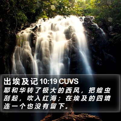 出 埃 及 记 10:19 CUVS Bible Verse Image