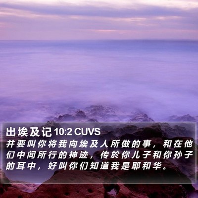 出 埃 及 记 10:2 CUVS Bible Verse Image