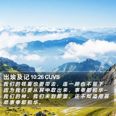 出 埃 及 记 10:26 CUVS Bible Verse Image