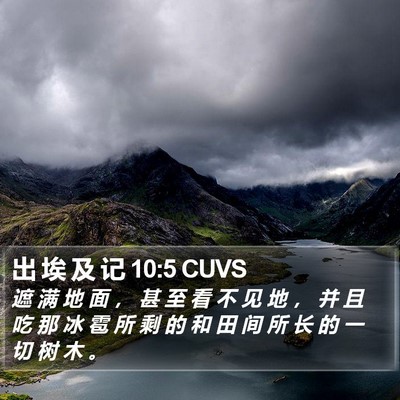 出 埃 及 记 10:5 CUVS Bible Verse Image