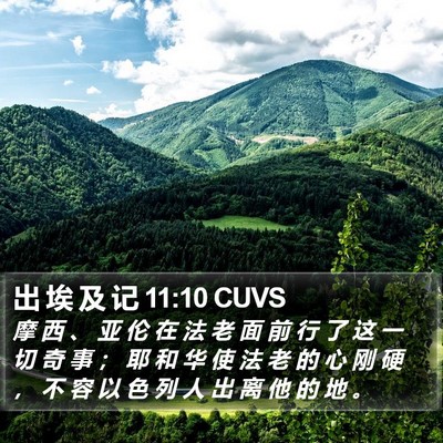 出 埃 及 记 11:10 CUVS Bible Verse Image