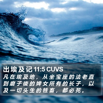 出 埃 及 记 11:5 CUVS Bible Verse Image