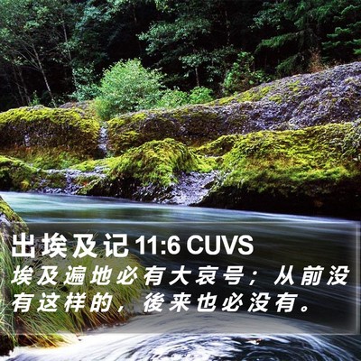出 埃 及 记 11:6 CUVS Bible Verse Image