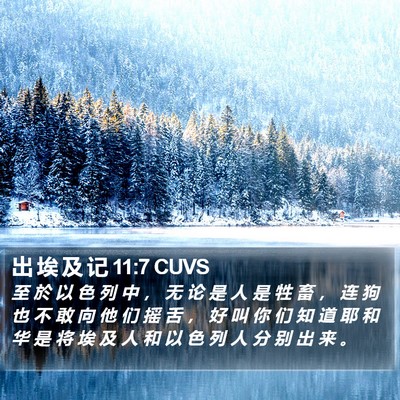 出 埃 及 记 11:7 CUVS Bible Verse Image