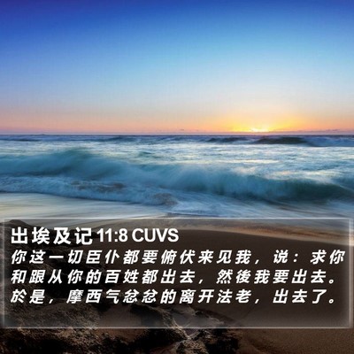 出 埃 及 记 11:8 CUVS Bible Verse Image